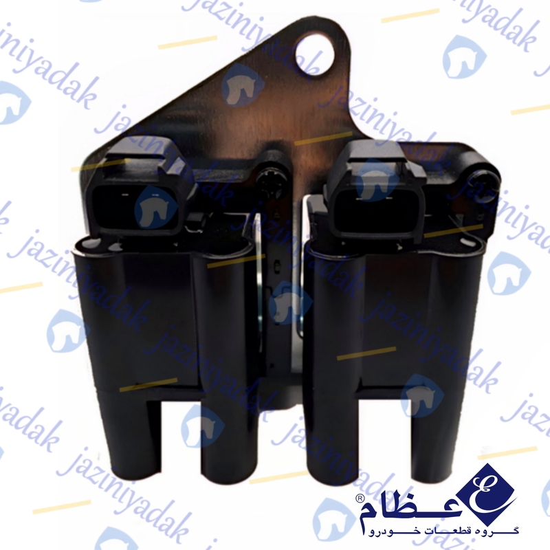 کوئل-دوقلو-پژو-405-زیمنس-جدید-عظام